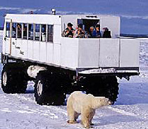 �}�j�g�o�B�`���[�`��